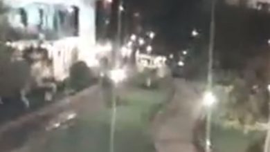 Fantasma na Disneylandia 10