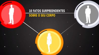 10 Fatos Surpreendentes sobre o Seu Corpo 9