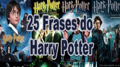 25 Frases do Harry Potter 1