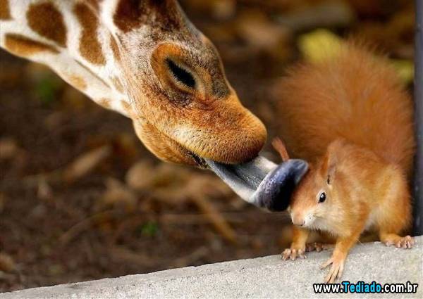 mais_do_que_apenas_uma_foto_05