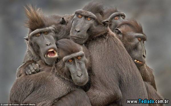 mais_do_que_apenas_uma_foto_07