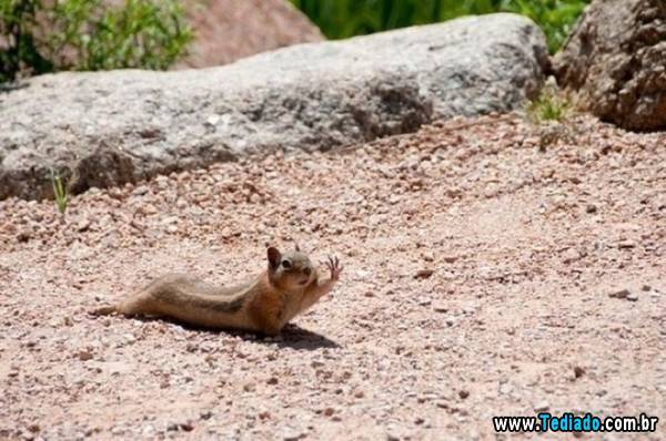 mais_do_que_apenas_uma_foto_10