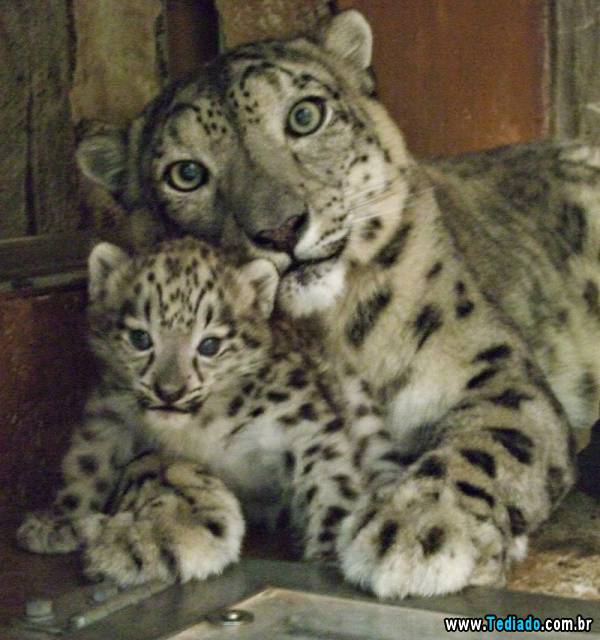 mais_do_que_apenas_uma_foto_12