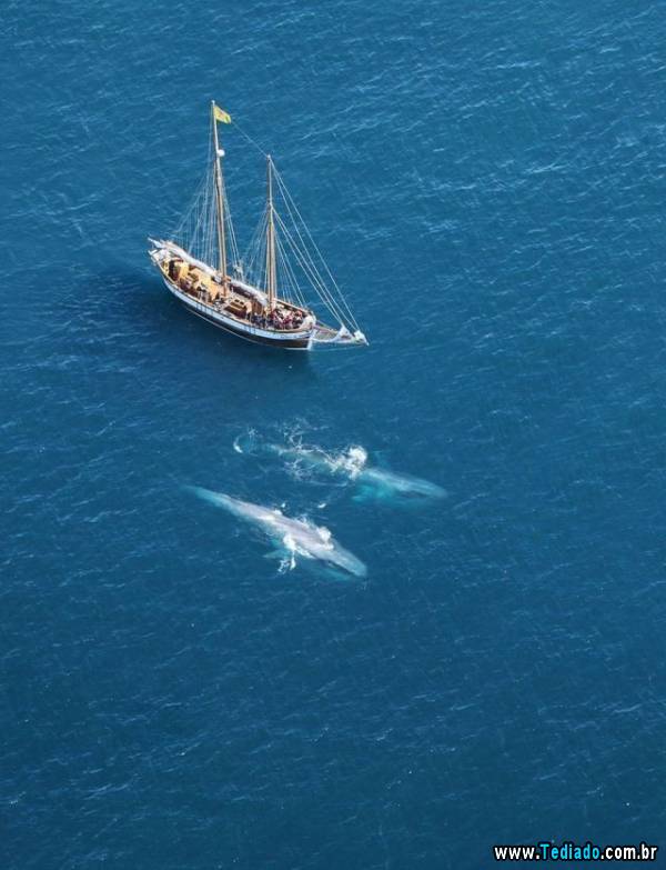 mais_do_que_apenas_uma_foto_13