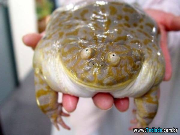 mais_do_que_apenas_uma_foto_14