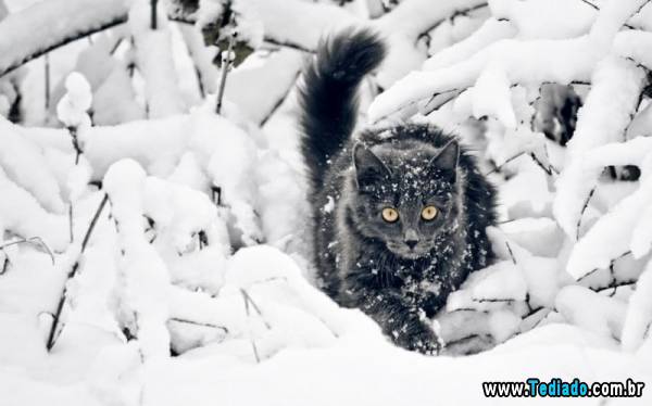 mais_do_que_apenas_uma_foto_16