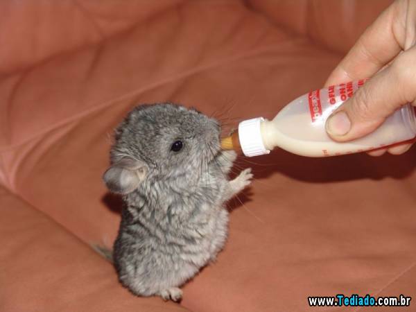 mais_do_que_apenas_uma_foto_20