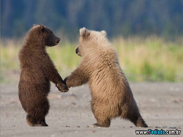 mais_do_que_apenas_uma_foto_26