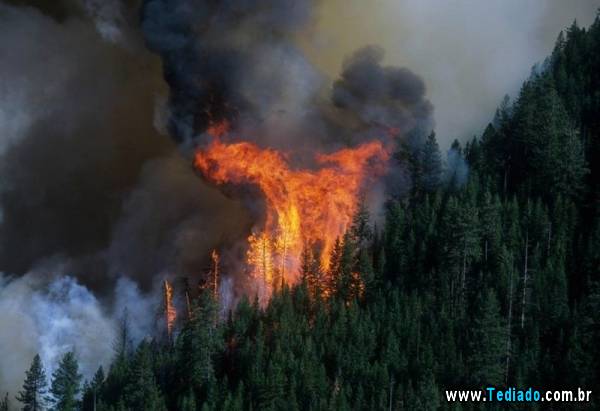 mais_do_que_apenas_uma_foto_29