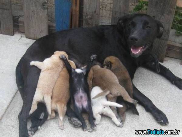 mais_do_que_apenas_uma_foto_35