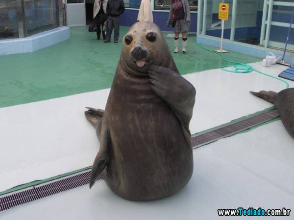 mais_do_que_apenas_uma_foto_37