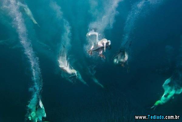 mais_do_que_apenas_uma_foto_38