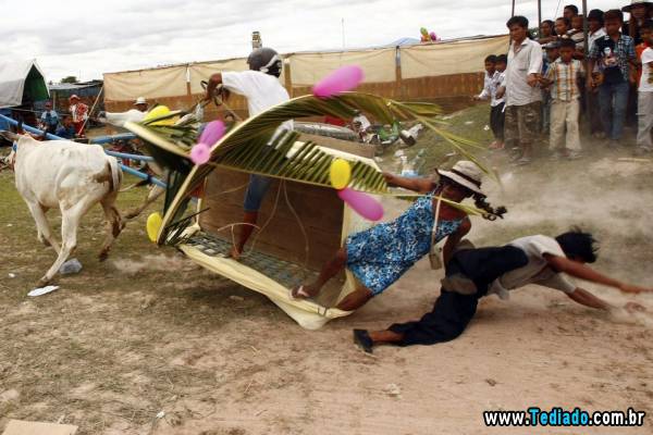 PUBLISHED by catsmob.com