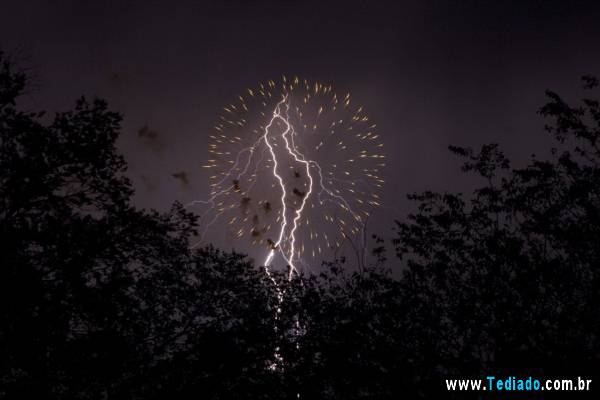 PUBLISHED by catsmob.com