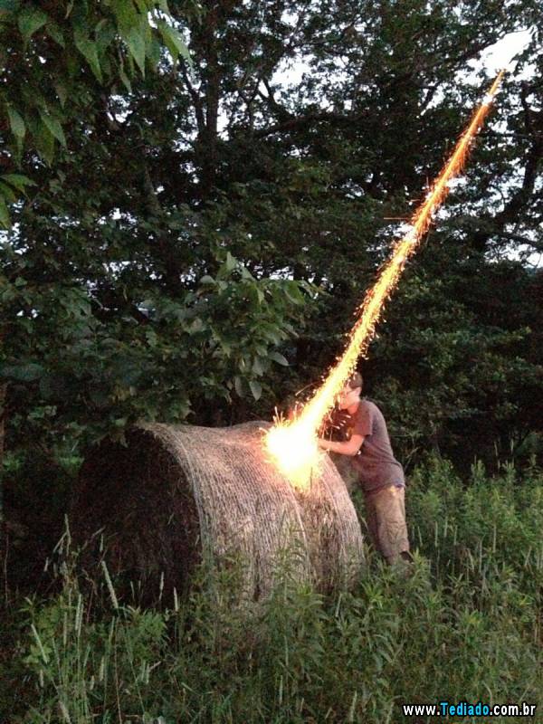 PUBLISHED by catsmob.com