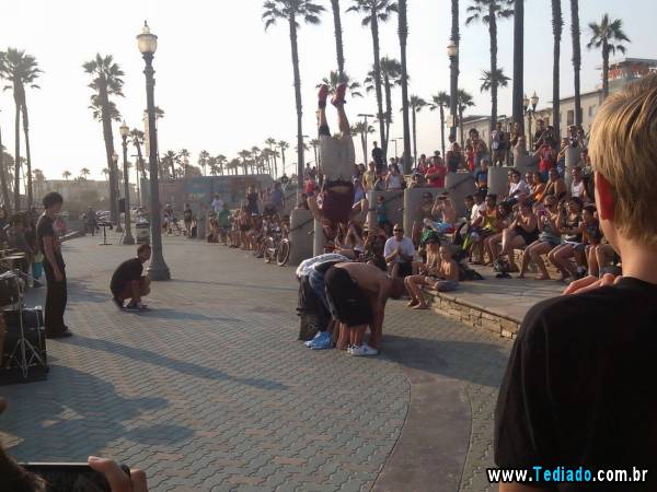 PUBLISHED by catsmob.com