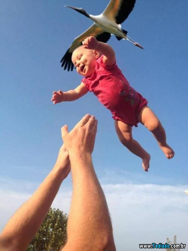 PUBLISHED by catsmob.com