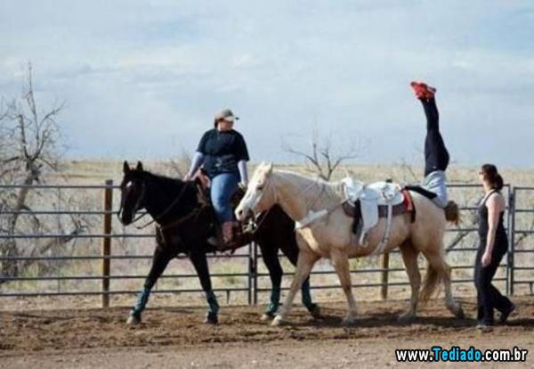 PUBLISHED by catsmob.com