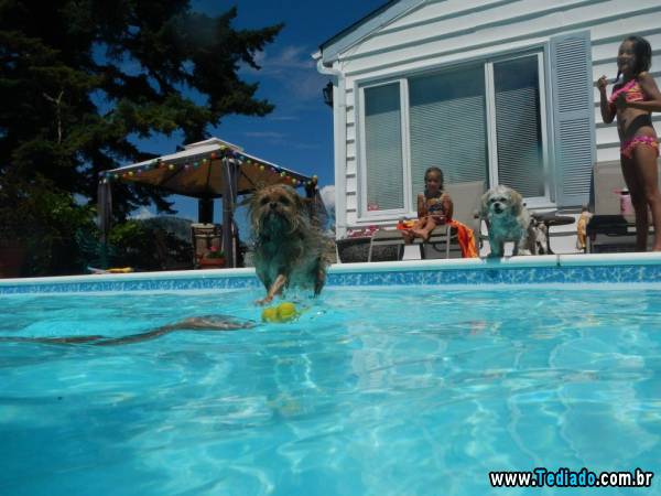 PUBLISHED by catsmob.com