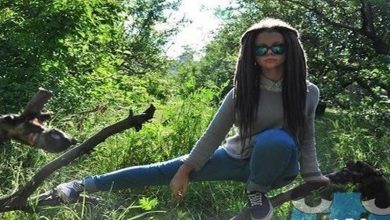 Plaquinhas divertidas #37 8