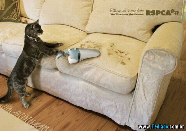 anuncios_criativos_04