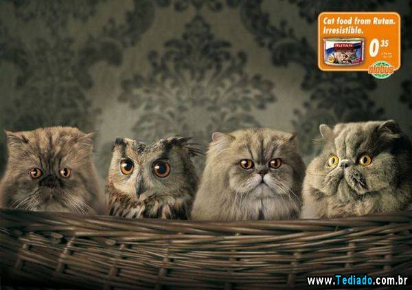 anuncios_criativos_06