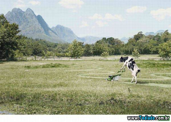 anuncios_criativos_09