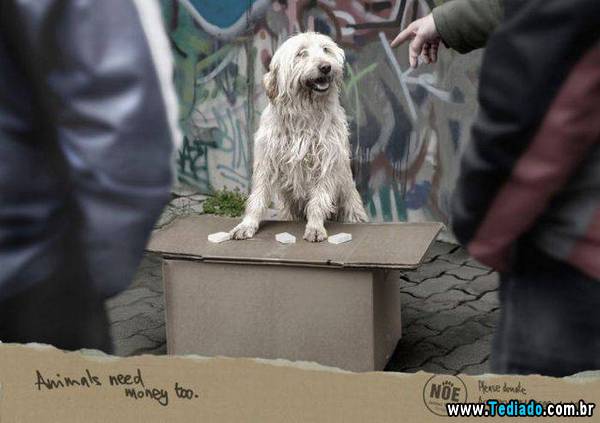 anuncios_criativos_10