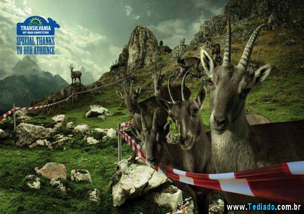 anuncios_criativos_14