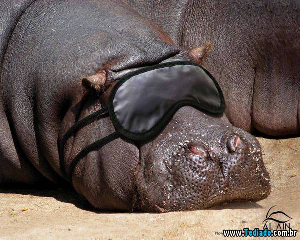 anuncios_criativos_15