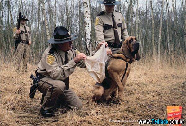 anuncios_criativos_16