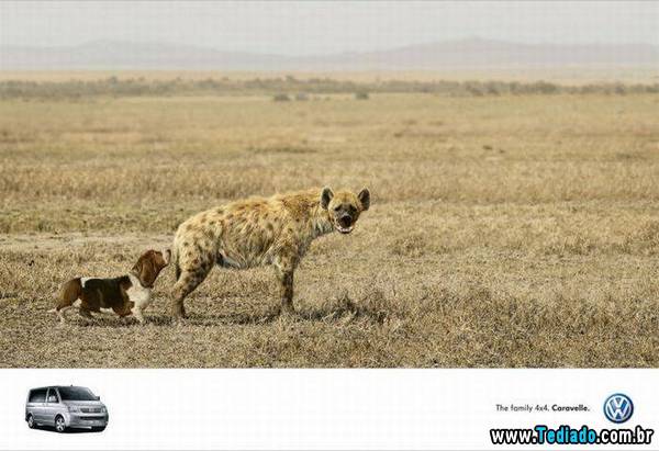 anuncios_criativos_19