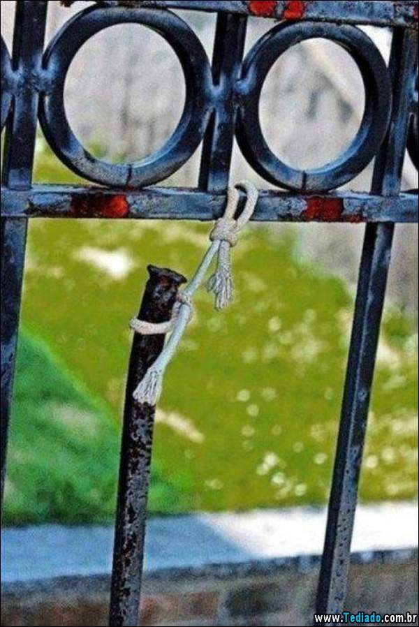 diversao_reparacao_02