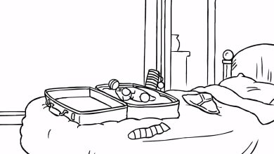 Gato Simon – Mala de viagem 5