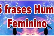 25 frases Humor Feminino 32