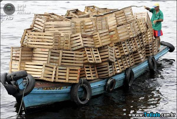 mestre_transporte_01