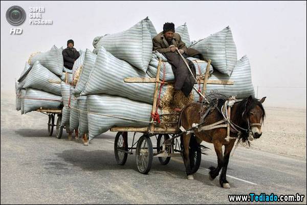 mestre_transporte_02