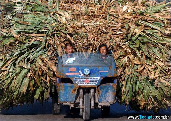 mestre_transporte_05