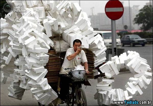 mestre_transporte_11