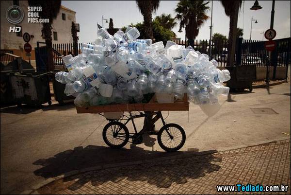 mestre_transporte_12