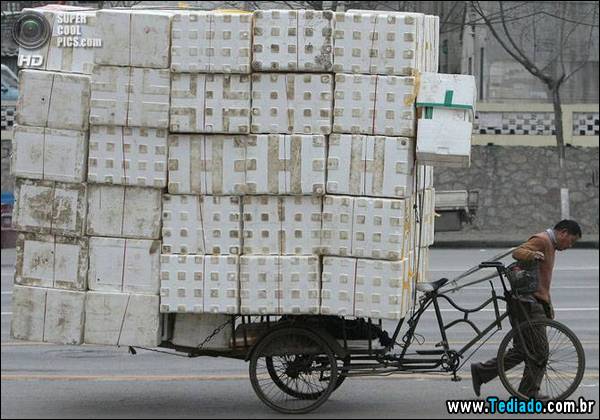 mestre_transporte_13