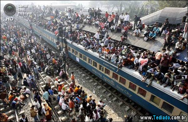 mestre_transporte_16