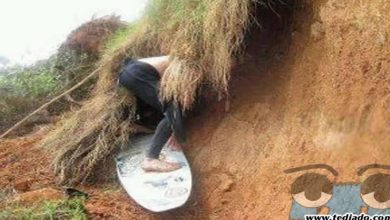 Plaquinhas divertidas #39 38