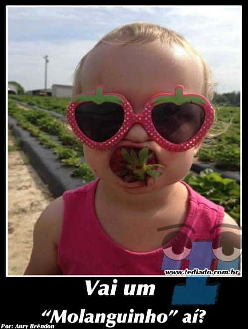 plaquinhas_legais_03