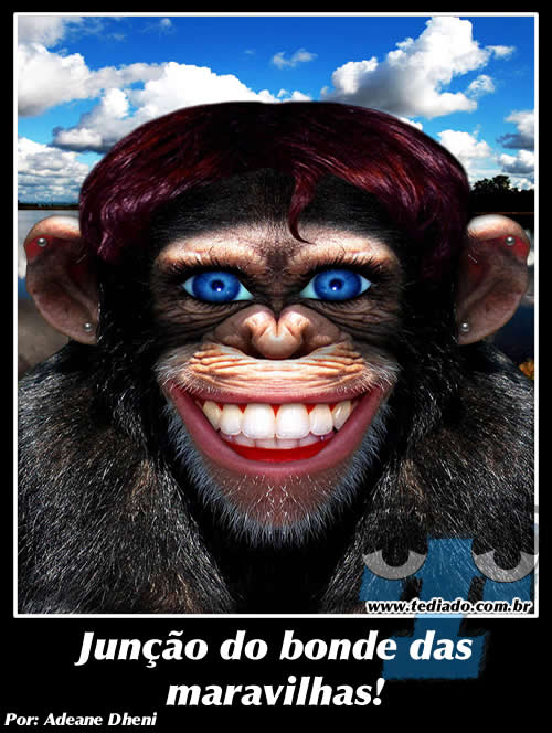 plaquinhas_legais_07