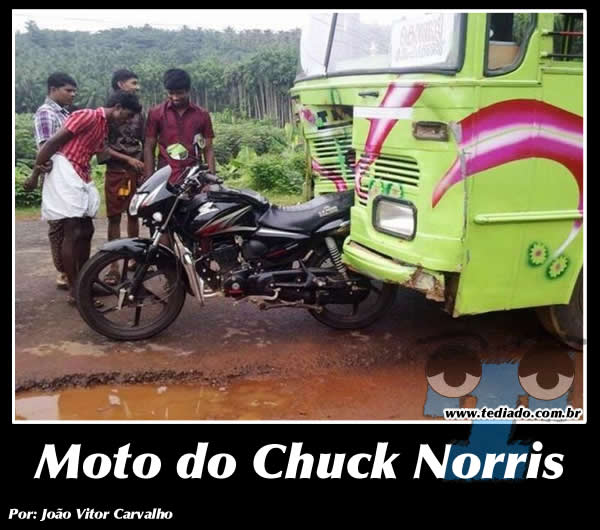 plaquinhas_legais_08