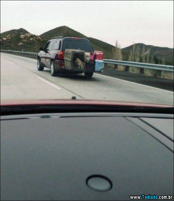 voce_esta_fazendo_15