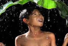 Belas fotos na chuva (34 fotos) 42