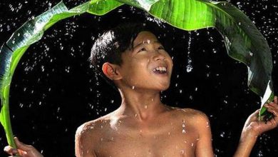 Belas fotos na chuva (34 fotos) 60