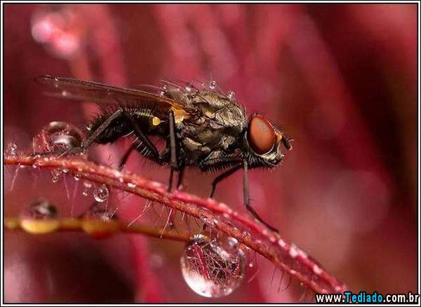 belas_fotos_chuva_13